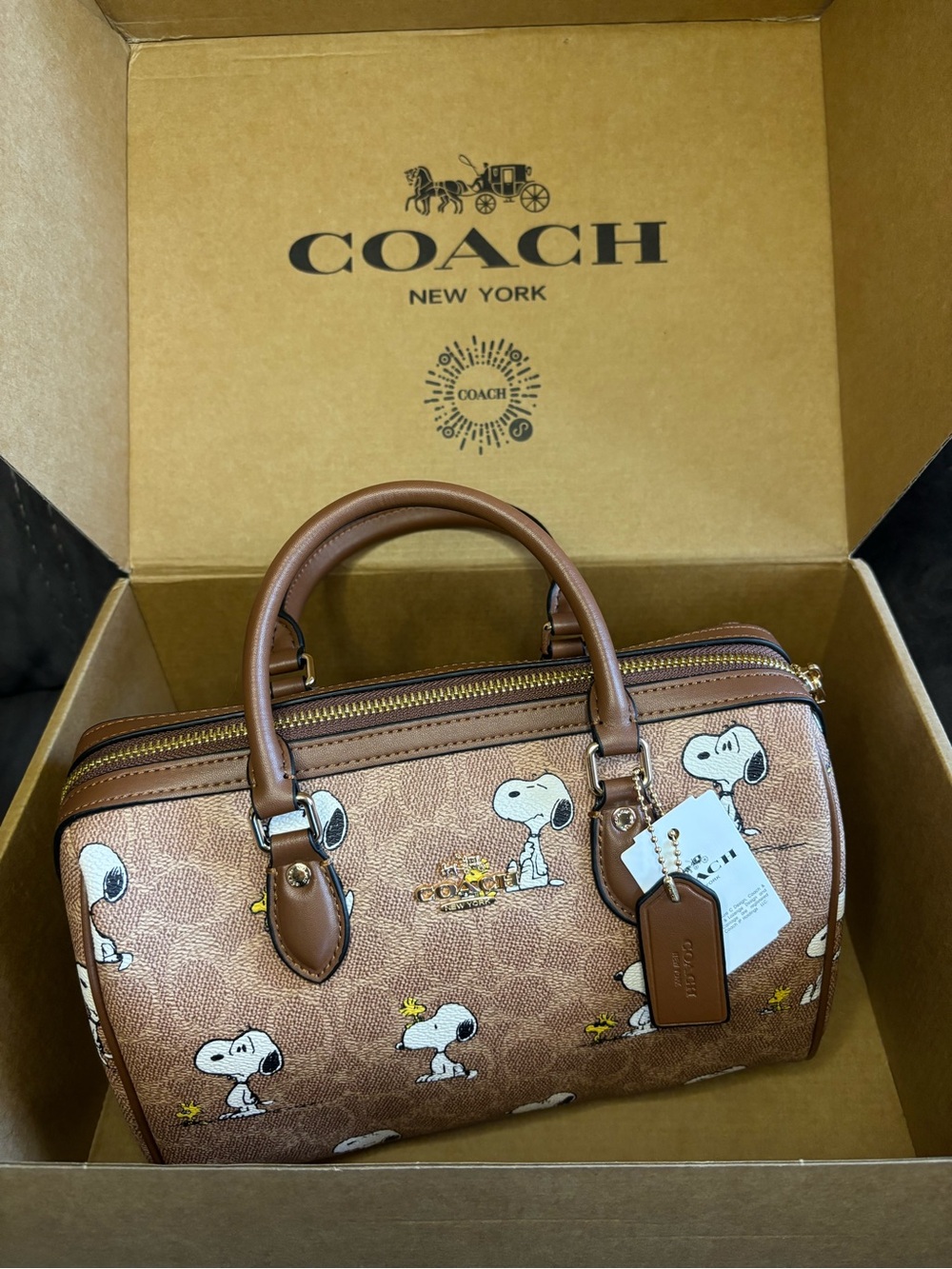 Coach Brown Snoopy Print Leather Dome Satchel - Brown/White